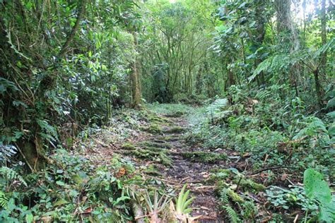 Cloud Forest Hiking in Boquete, Panama