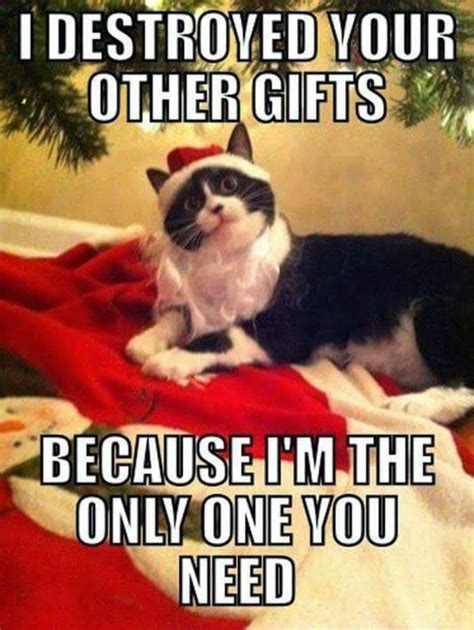 Hilarious Christmas Memes To Share On All Social Media