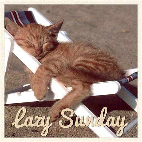 Lazy Sunday Pictures, Photos, and Images for Facebook, Tumblr ...