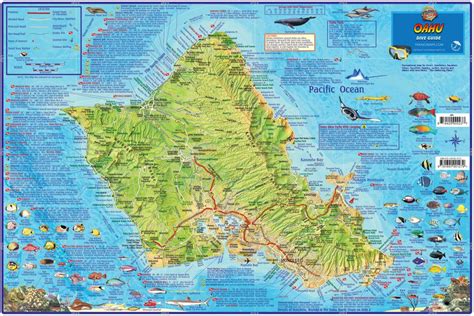 Oahu Dive Map – Franko Maps