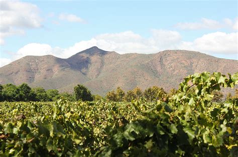 Robertson Wine Valley organisation to close in July