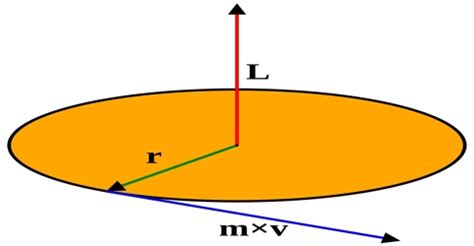 Angular Momentum in Vector Form - QS Study