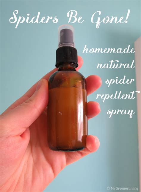 Spider-repellent spray