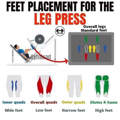 The leg press is an excellent piece of equipment that can be manipulated to target different ...