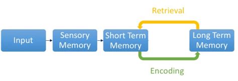 Levels of Processing Model & Theory | EdApp Microlearning