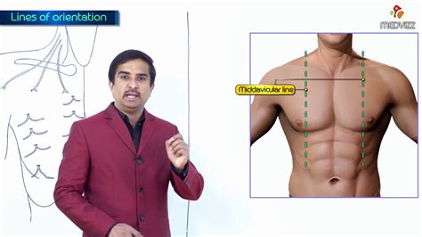 Midclavicular Line Anatomy