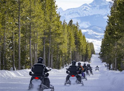 6 Best Yellowstone Snowmobile Tours For The Money In 2024