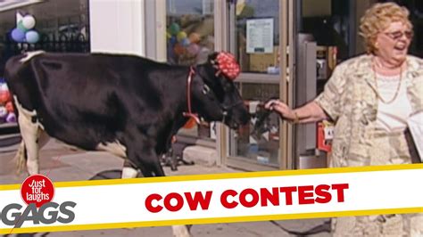 Win A Cow Prank - Throwback Thursday - YouTube