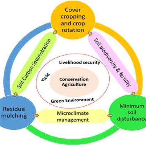 50455 PDFs | Review articles in CONSERVATION AGRICULTURE