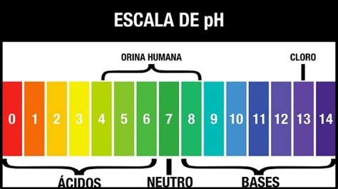 QUÉ ES EL pH Y CÓMO LO MEDIMOS (INDICADORES Y pH METROS) en 2023 | Ph quimica, Enseñanza de ...