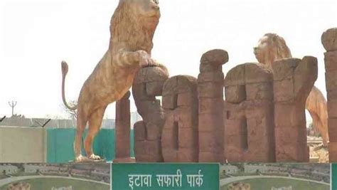 Etawah Safari Park - All You Need to Know BEFORE You Go