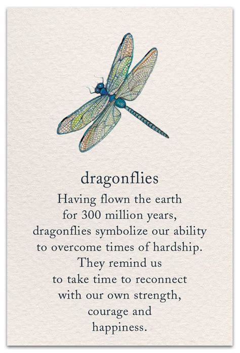 Dragonfly | Dragonfly quotes, Inspirational quotes, Words