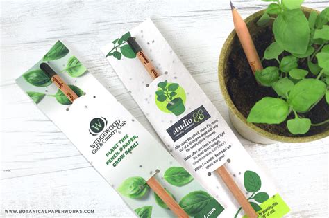 Introducing Plantable Sprout Pencils! - Botanical PaperWorks