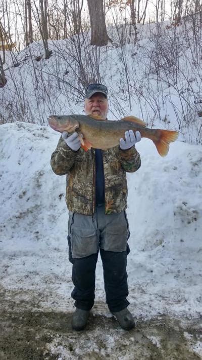 BLOG: Huge walleye from Lake Champlain