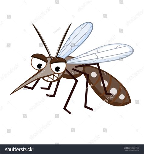 Cartoon Mosquito Aedes Aegypti White Background Stock Vector (Royalty Free) 1434627566 ...