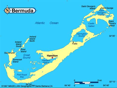 Bermuda's Fauna