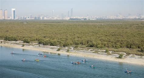 Mangrove Kayaking Abu Dhabi | Eastern Mangroves Hotel & Spa