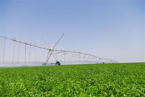 35,000 tons of green fodder produced over three years: Hassad Food | The Peninsula Qatar