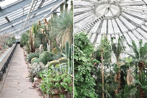 Back to Nature in Copenhagen Botanical Garden - Michelle Franc-LeeMichelle Franc-Lee