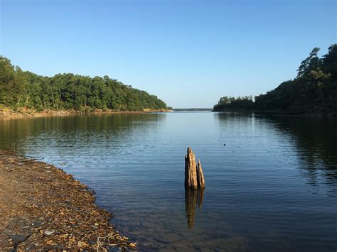 One of the many inlets of lake Ouachita in Arkansas seen on my morning hike! : r/CampingandHiking