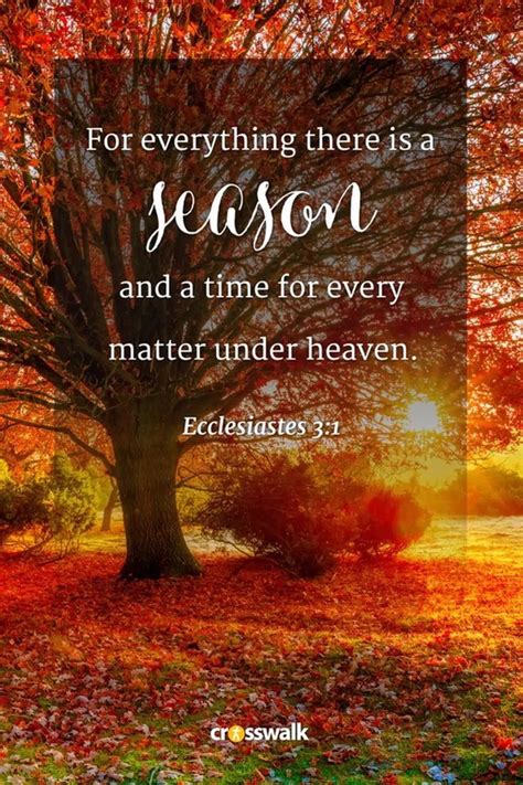15 Beautiful Fall Bible Verses for the Autumn Season - Bible Study
