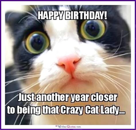 Cat Happy Birthday Meme, Happy Birthday For Her, Birthday Quotes Funny, Happy Birthday Greetings ...