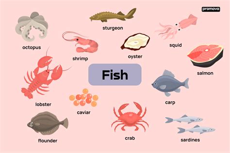 Exploring Types Of Fish With This English Vocabulary