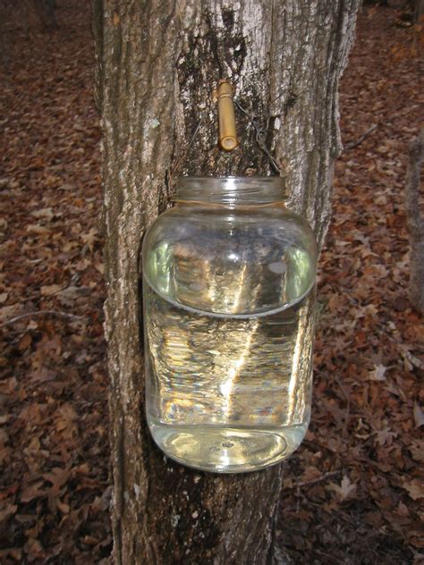 Sugaring…or How we Make Our Maple Syrup