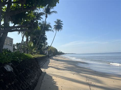 Libreville Beaches | Birdingplaces