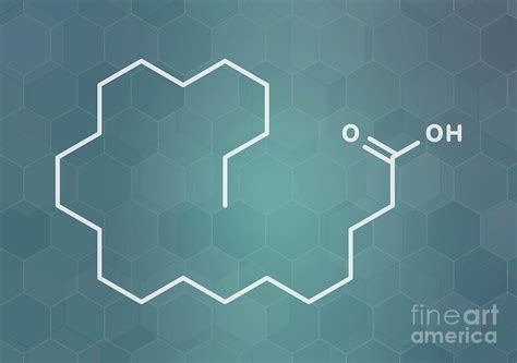 Behenic Acid Saturated Fatty Acid Molecule Photograph by Molekuul ...