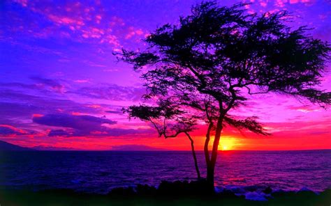 Sunset Purple Wallpapers - Wallpaper Cave