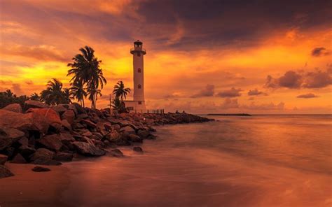 Download wallpapers Lighthouse, palm trees, sunset, evening, beach, ocean, Sri Lanka for desktop ...