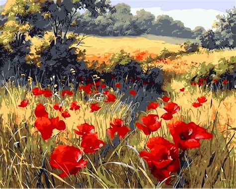 YEESAM ART Paint by Numbers for Adults Beginner, Poppies Wildflowers 16x20 Inch Linen Canvas ...