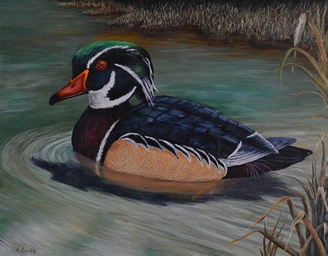 Wood Duck Painting by Nancy Lauby