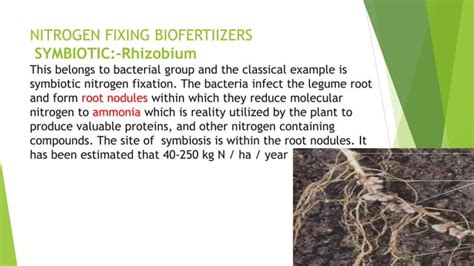 bio fertilizer and their application