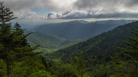 Meanderthals | Mountains to Sea Trail Near Old Bald, Nantahala National ...