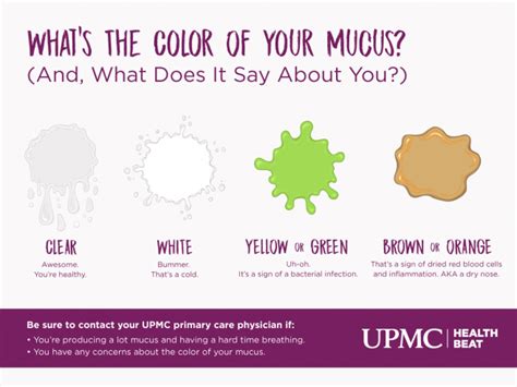 What Is Mucus? | UPMC HealthBeat