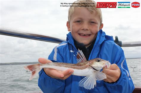 Gurnard Fishing – GO Angling