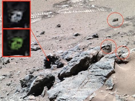 Alien life on Mars? NASA photo reveals mysterious black object - Canada Journal - News of the World