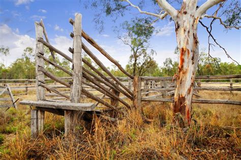 old cattle yards - Google Search | Australia landscape, Country photography, Australian farm