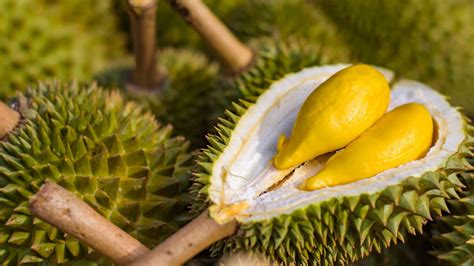 Attention Malaysians, Durian Price Decreases Due To The Overwhelming Increase In Supply | Gempak