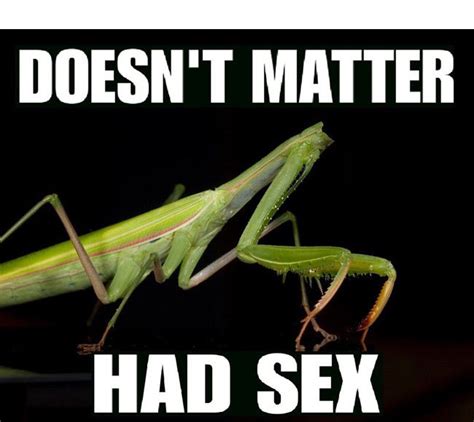 Funny Pictures – August 27, 2015 | Praying mantis, Funny pictures ...