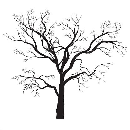 Winter Tree Silhouette Stock Illustration - Download Image Now - iStock