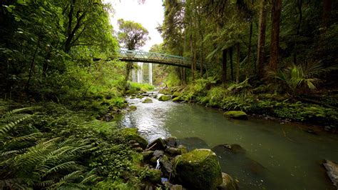 Whangarei Falls, NZ Vacation Rentals: house rentals & more | Vrbo