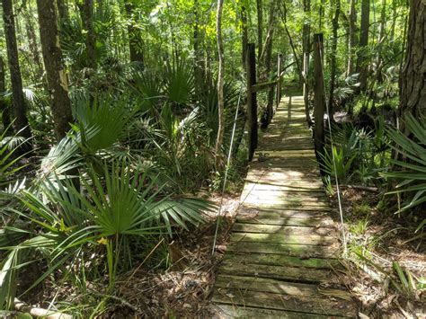 This Little-Known Trail In Florida Will Enchant You And Your Kids With ...