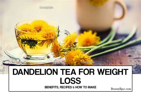 How To Drink Dandelion Tea For Weight Loss? In 2024