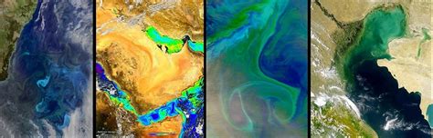 Webinar: Discover NASA Ocean Color Data, Services and Tools | Earthdata