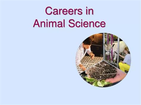 PPT - Careers in Animal Science PowerPoint Presentation, free download ...