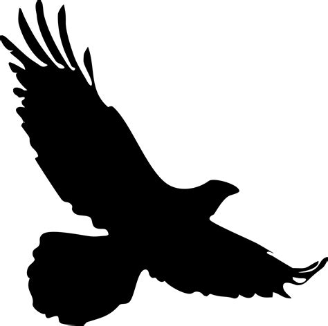 Birds Of Prey Silhouette at GetDrawings | Free download