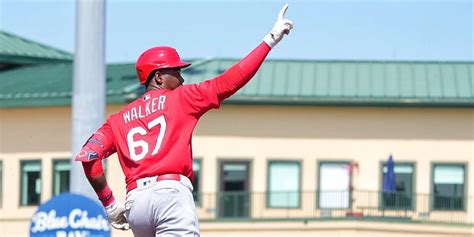 Jordan Walker homers in Cardinals Spring Training debut